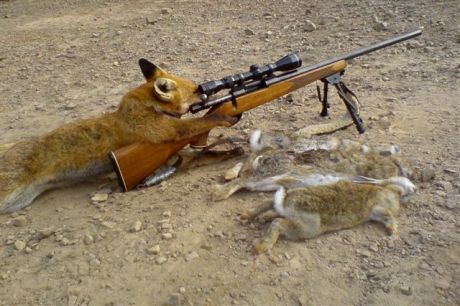 இதைப்பாருங்கள்! Fox_hunting